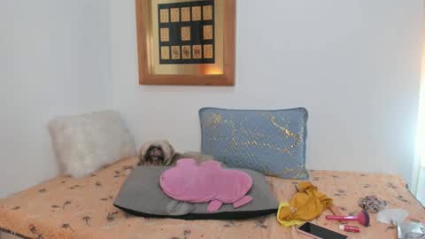 anna online show from 02.26.25