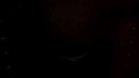 Snapshot of annecharlie chatting on 11.30.25 annecharlie online show from 11.30.25