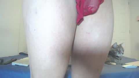  INDEPENDENT MODEL next srteam 240624 online show from 07.11.26