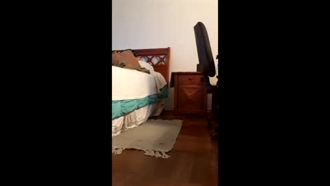 antonino85 online show from 02.20.26