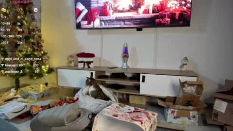 Snapshot of anyi_1 chatting on 01.07.25 Anyi Orion and Pyxis online show from 01.07.25