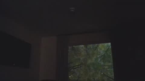 Daddy online show from 11.05.25