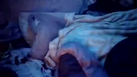 apocolypseanomaly online show from 12.16.24