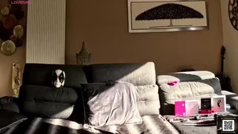 Snapshot of apollonfitx_69 chatting on 02.01.26 apollonfitx_69 online show from 02.01.26