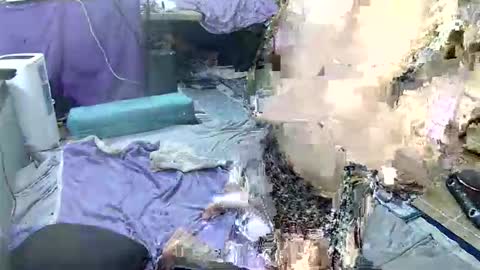 aquafoxxy online show from 03.02.26