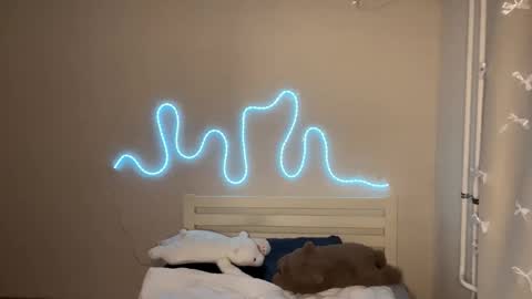 Emi online show from 02.06.26