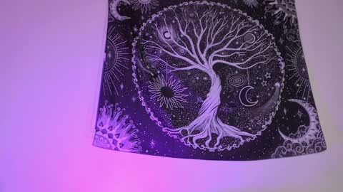 Aram 3 online show from 01.27.25