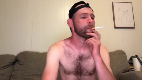 archibears online show from 06.07.26