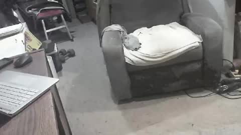 Snapshot of arealshowoff chatting on 03.22.26 arealshowoff online show from 03.22.26