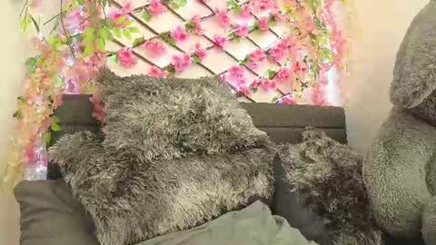 aria_silk online show from 06.28.26