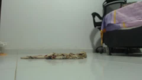 ...Ariana... online show from 01.29.25