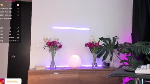 DaniAri - dimension X at night NY time online show from 07.10.26