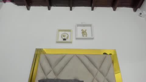  ARI  online show from 03.12.25