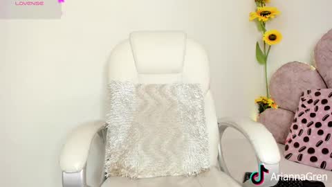 Snapshot of arianna_gren chatting on 02.17.25 Arianna online show from 02.17.25