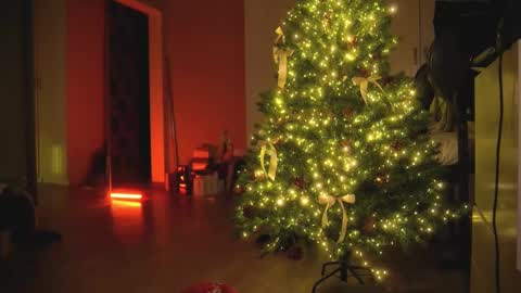 Snapshot of arianna_richi chatting on 12.30.24 Olivka online show from 12.30.24