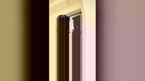 arilavish online show from 04.11.26