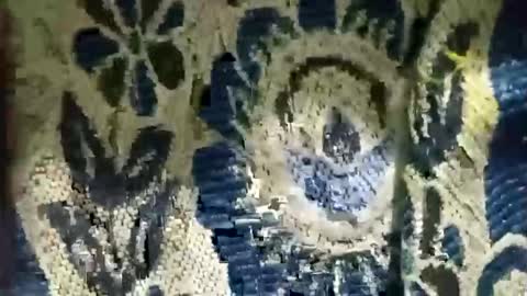 arshkhant987 online show from 01.31.26