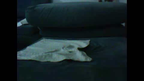 Snapshot of artanm2 chatting on 01.09.25 natra online show from 01.09.25