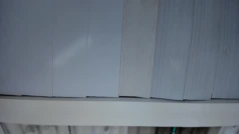 FENIX online show from 11.25.25