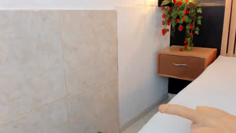 Snapshot of arya_nahalii chatting on 12.29.24 Ana online show from 12.29.24