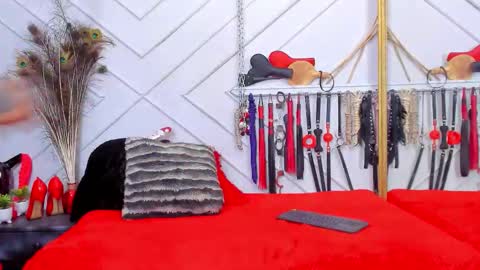 Snapshot of ashapark chatting on 03.02.26 Asha online show from 03.02.26