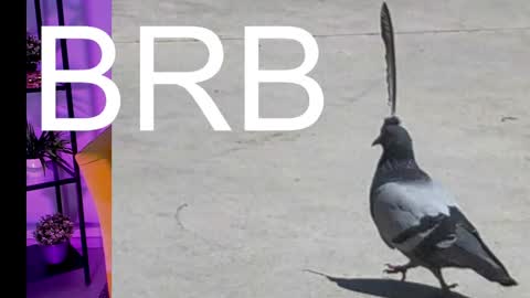 AshleyAshe  online show from 03.07.25