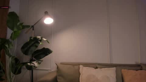   online show from 06.06.26