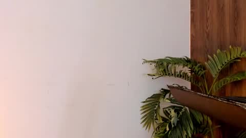 Snapshot of ashton_coleman_ chatting on 12.28.24 my name real is camilo online show from 12.28.24