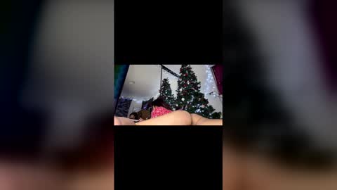 Snapshot of asian_babeee chatting on 12.02.25 asian_babeee online show from 12.02.25