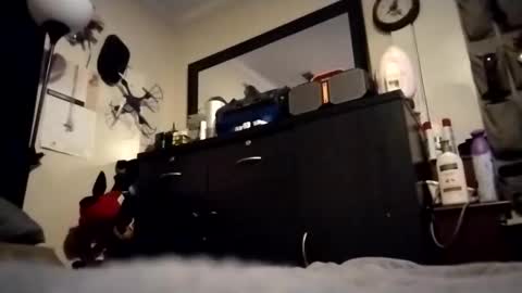 askme2shou online show from 11.27.25