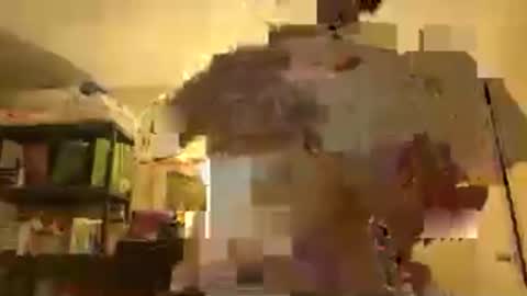 Patty online show from 11.30.25