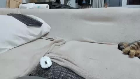 MARCO online show from 12.02.25