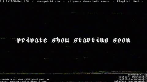 Snapshot of auragotchi chatting on 01.04.25 Aurora Aura online show from 01.04.25