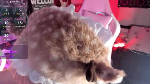 Aurora Channn online show from 11.27.25