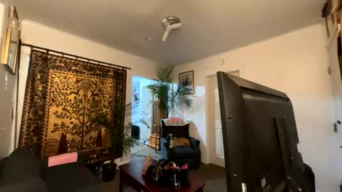 Snapshot of auroranightsxxx chatting on 04.02.26 Destiny Nicole online show from 04.02.26