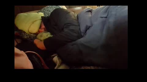 Snapshot of automaticmechanic chatting on 12.04.24 Senior Agua online show from 12.04.24