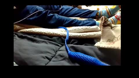 Snapshot of automaticmechanic chatting on 12.04.24 Senior Agua online show from 12.04.24