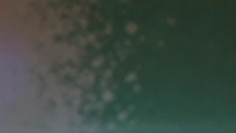 Snapshot of automaticmechanic chatting on 02.16.25 Senior Agua online show from 02.16.25