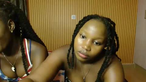 Avian online show from 11.11.25