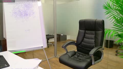 Olivia and Lexi online show from 01.23.25