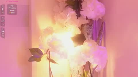 Baby june online show from 06.14.26