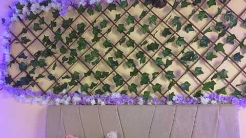 Snapshot of baby_xian chatting on 12.19.24  Dani  online show from 12.19.24