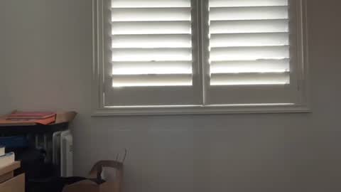 Snapshot of babychinoo chatting on 08.08.26 bcin online show from 08.08.26