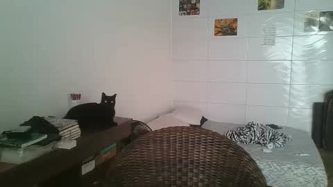 babydemon6 online show from 11.14.25