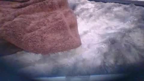 Snapshot of bacchusexx15 chatting on 03.30.26 bacchusexx15 online show from 03.30.26