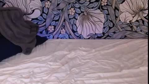 Snapshot of backtatava chatting on 09.30.25 Ava online show from 09.30.25