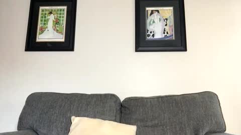 badbi1000 online show from 10.30.25