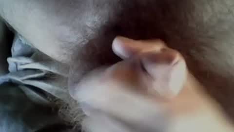 Snapshot of baghiraa chatting on 09.27.25 Baghira online show from 09.27.25