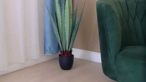 bailey_rush online show from 12.03.25