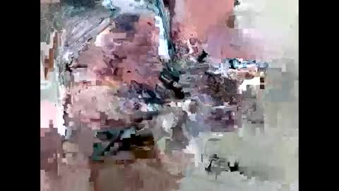 bainescpl2024 online show from 02.10.26